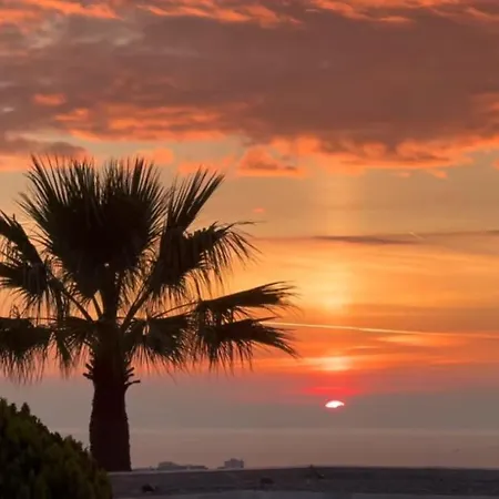 Royal Plaza מנטון